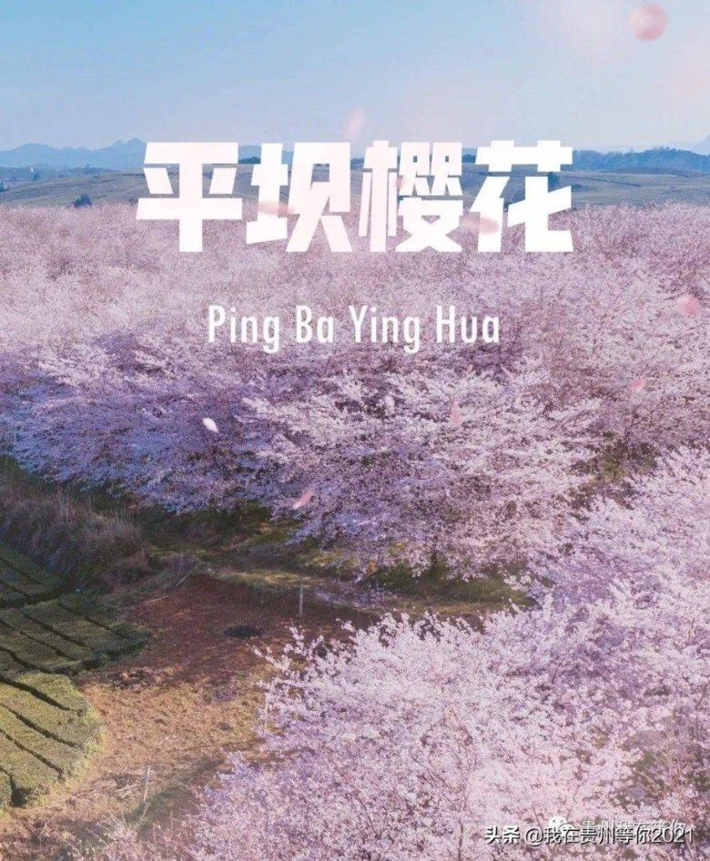 思想者画室广东省联考大捷，最高分258分，平均分235.85分