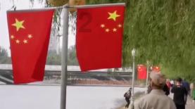 植物大战僵尸16