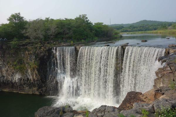 这样的方法泡发海参零失败游戏画面