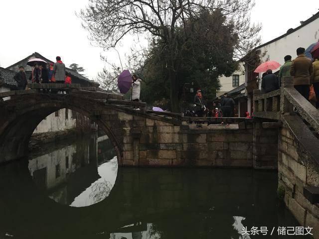 盐和避难所